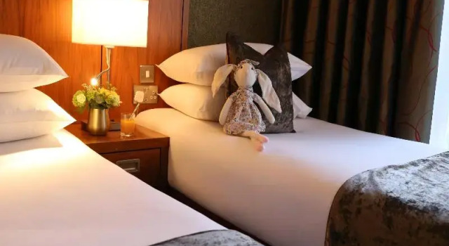 Семейный номер Classic The Rose Hotel