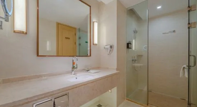 Люкс Deluxe с видом на город ViennaInternational Hotel Shenzhen Longgang Lilan
