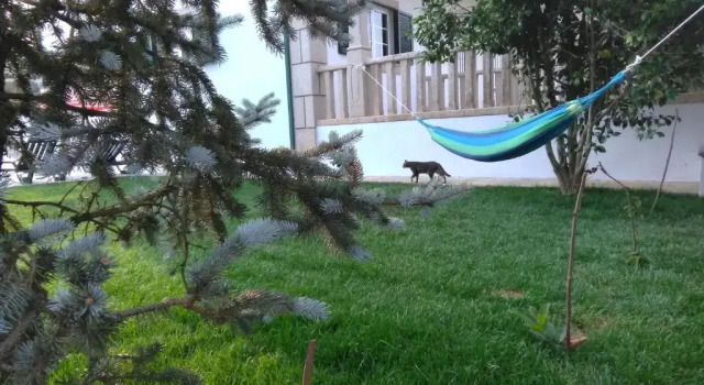 Коттедж Villa - Garden & Pool