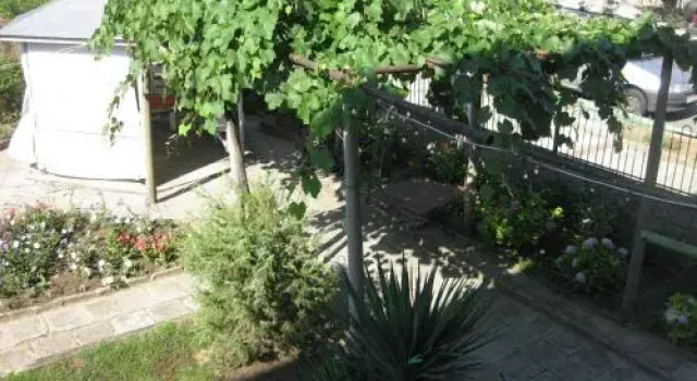 Rosi Guest House
