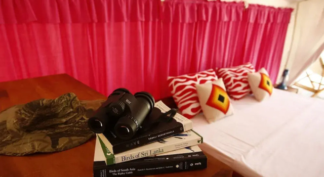 Yala National Park Camping