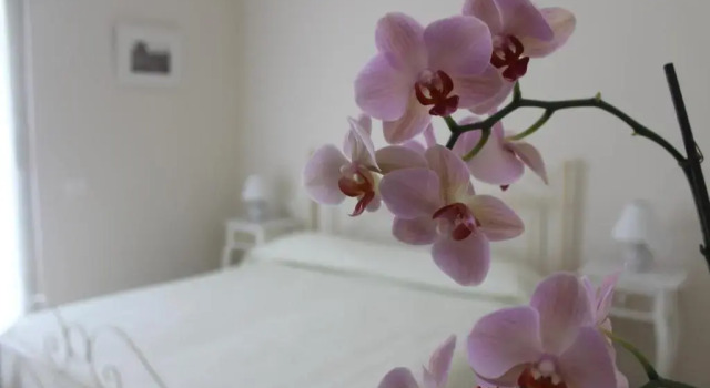 Номер Standard B&B Il Giglio Bianco