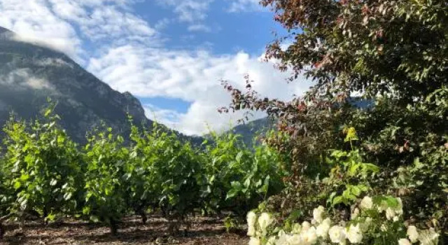 BnB Chantevent, Varaa Bed and Breakfast Sierre 