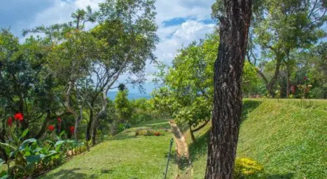 Windy Hills Glamping, Забронировать Кемпинг Кемпинги и глэмпинги Округа Галле, Кемпинг