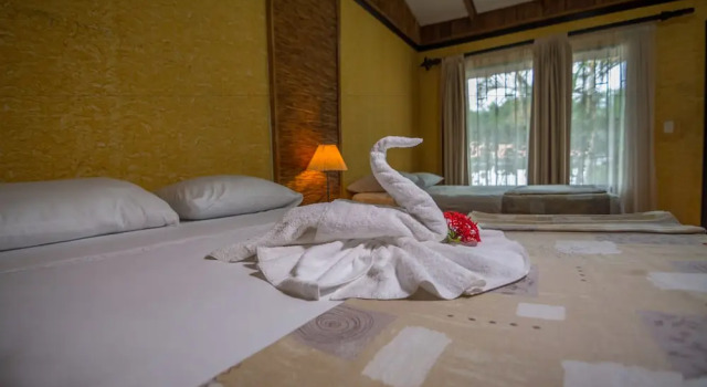 Номер Standard Pacific Paradise Resort