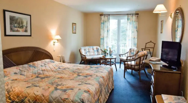 Двухместный номер Standard с видом на парк Logis Hôtel du Pont Neuf