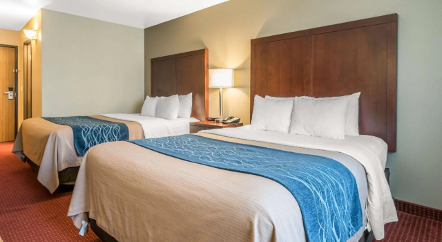 Четырёхместный номер Standard Comfort Inn Lacey - Olympia