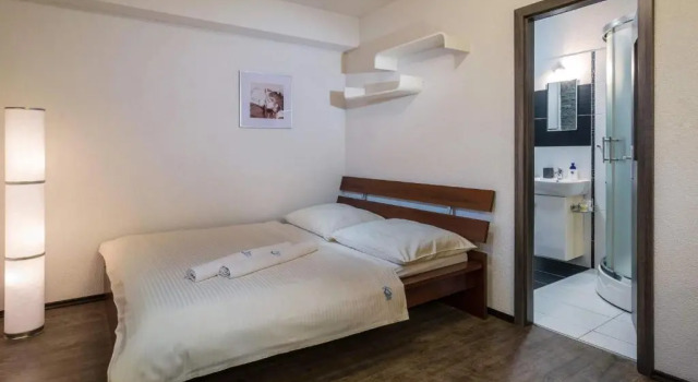 Студия Deluxe Apartmany Tilia