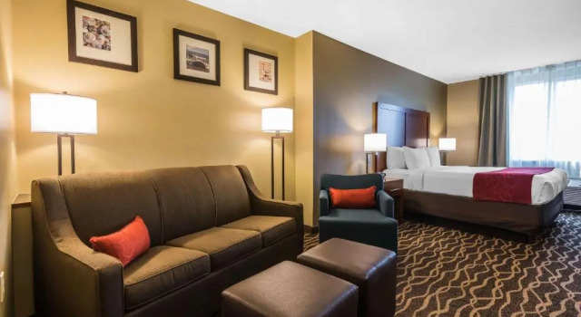 Номер Standard Comfort Suites Tampa Airport North