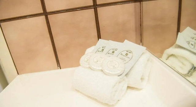 Двухместный номер Deluxe Garden City Motor Inn