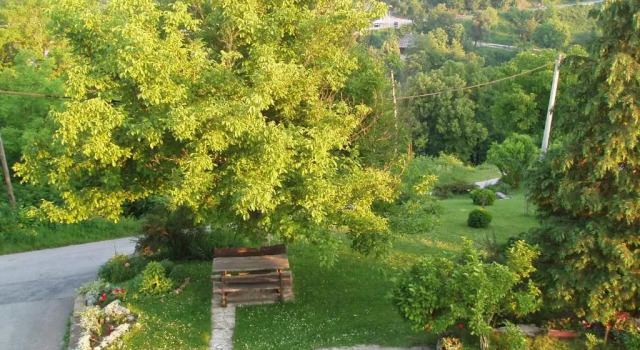Студия Apartments Strmac