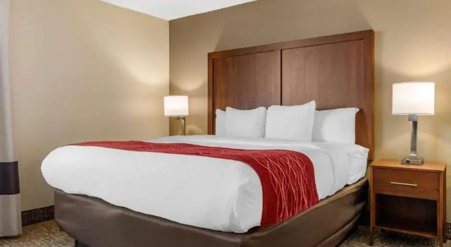 Номер Standard Comfort Inn University