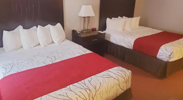 Четырёхместный номер Standard Blackstone Lodge and Suites