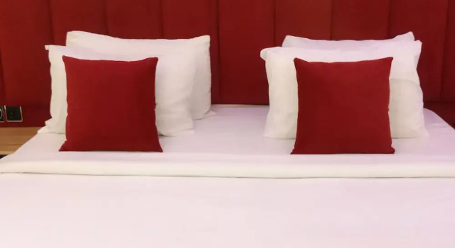 Номер Deluxe Ovic Hotel