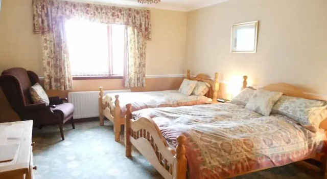 Трёхместный семейный номер Standard Цокольный этаж Hillview Park