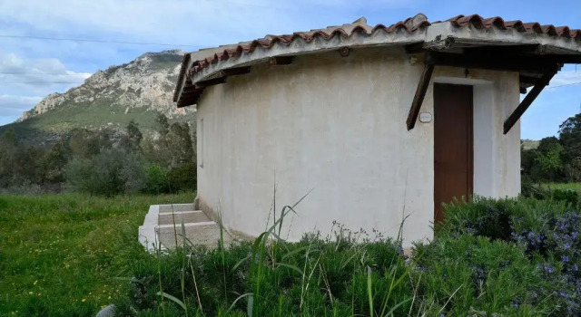 Бунгало Standard Agriturismo Rubinu