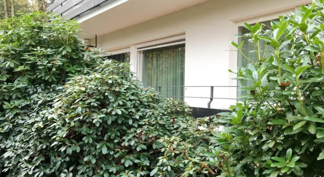 Апартаменты Allee Apartment