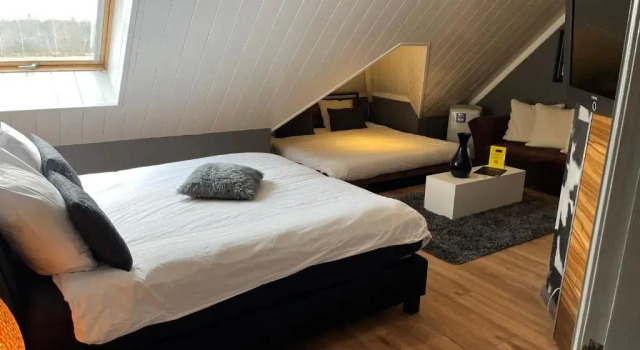 Четырёхместный номер Standard с видом на сад Hotel Buenos