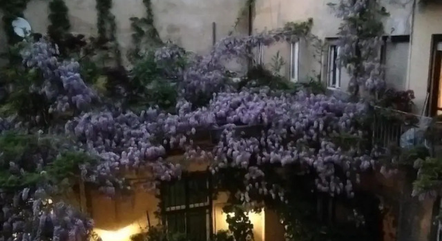 Апартаменты La Casa Degli Angeli