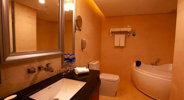 Люкс Deluxe Shenzhen Yijia International Hotel