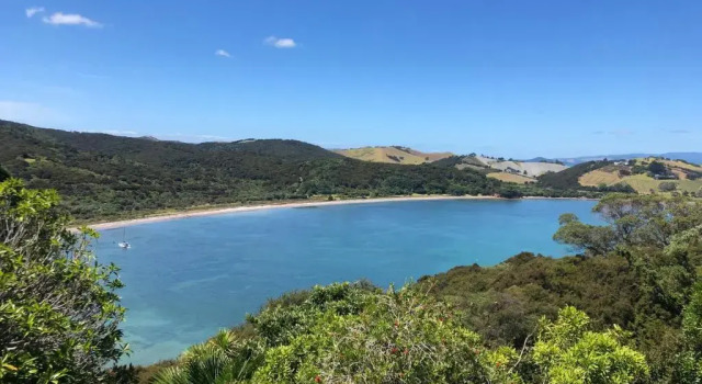 Коттедж Baywatch - Waiheke Escapes