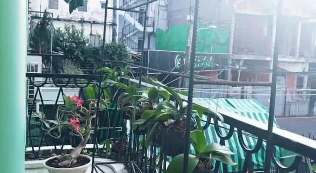 Номер Standard Stay House