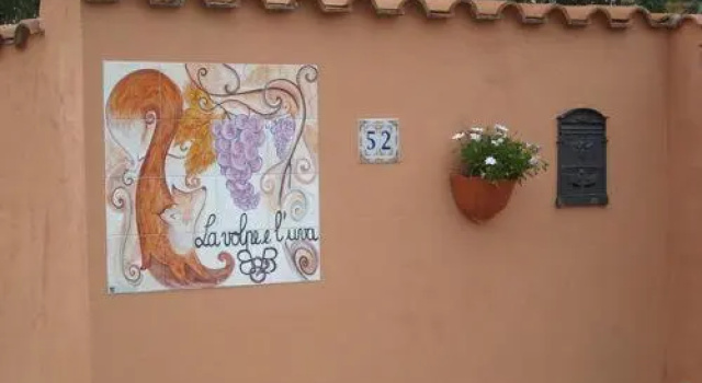 Bed & Breakfast La Volpe e LUva, Забронировать Отель Отели Лацио с бассейном, Бассейн
