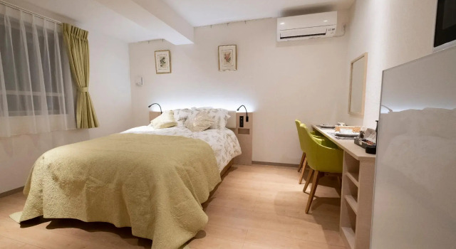 Двухместный номер Standard с видом на город Studio Inn Nishi Shinjuku