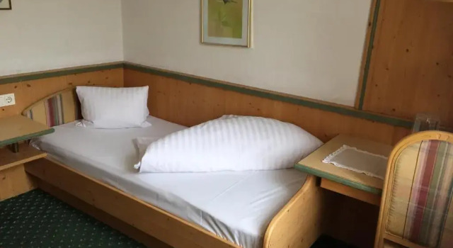 Одноместный номер Standard Hotel Wilder Mann