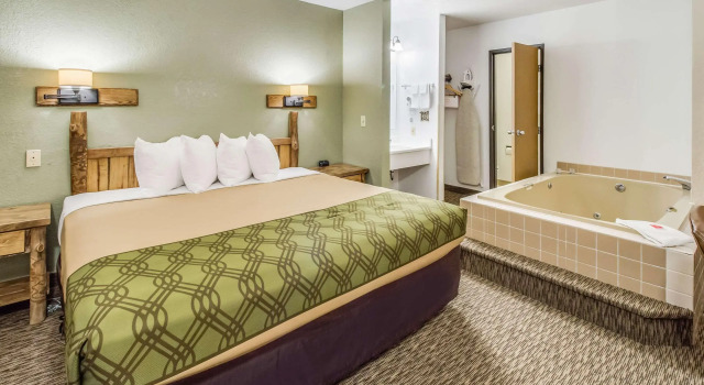Econo Lodge Custer - Crazy Horse Area