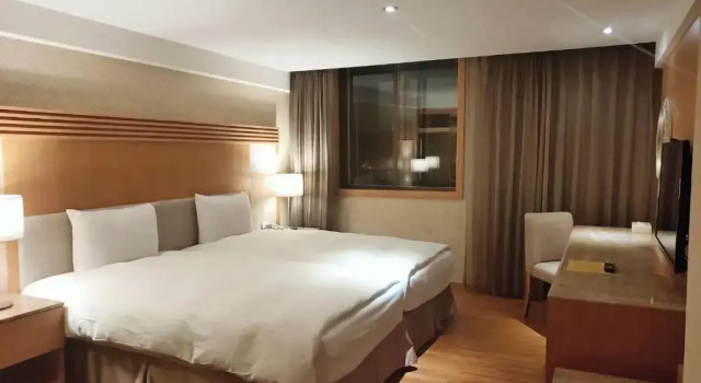 Deluxe Double room Apollo Hotel