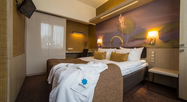 Полулюкс с балконом SPA VILNIUS Druskininkai