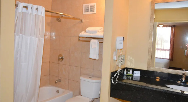 Двухместный номер с видом на бассейн Grand Hotel Orlando at Universal Blvd - Shuttle to Theme Parks