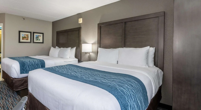 Четырёхместный номер Standard Comfort Inn Chicago Schaumburg - OHare Airport