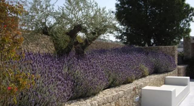 Коттедж Villa Gournes Resort