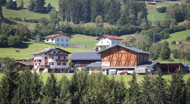 Tobadillerhof