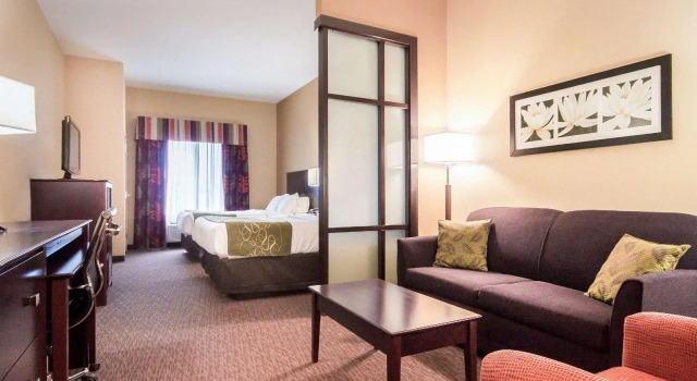 Четырёхместный люкс Comfort Suites Pecos