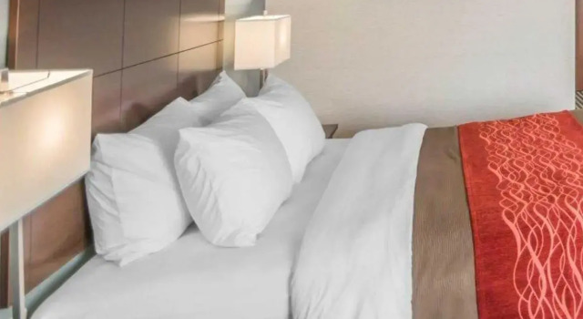 Standard- værelse Quality Inn Corning