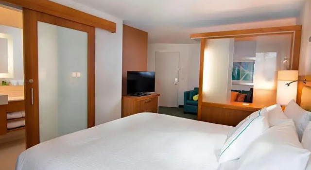 Четырёхместный люкс SpringHill Suites by Marriott Wisconsin Dells