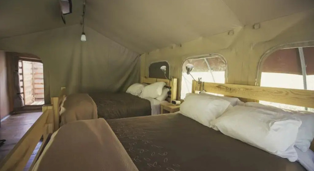 Long Point Eco-Adventures, Boek Camping  