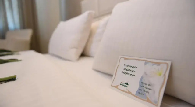 Трёхместный номер Standard Baliktasi City Hotel & Spa