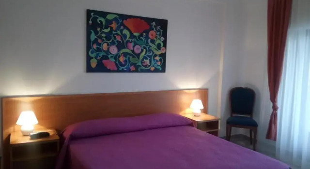 Одноместный номер Standard Al Saliceto Hotel