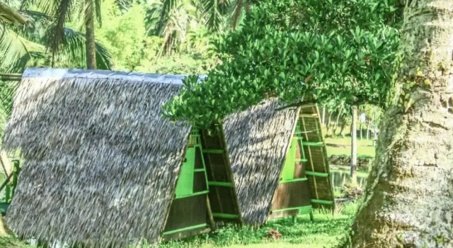 Номер Standard Caliraya Ecoville Recreation and Farm Resort
