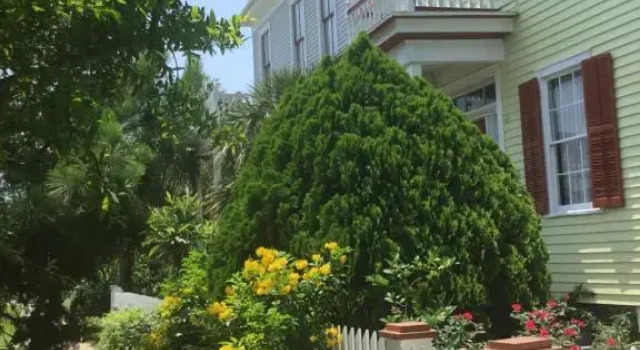 1118 Postoffice Street, Boek Appartement Galveston Houston