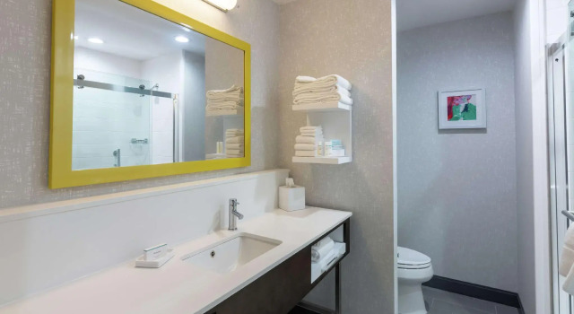 Двухместный номер Accessible Hampton Inn & Suites Dallas East