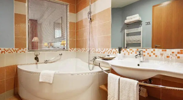 Полулюкс Standard Grand Hotel Primus - Terme Ptuj - Sava Hotels & Resorts