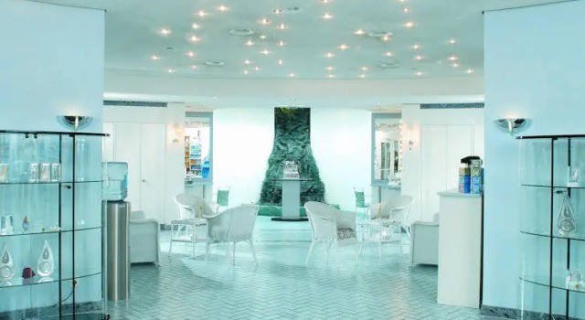 Schlosshotel Bühlerhöhe, Reserva ahora Hotel Hoteles en Baden-Wurtemberg con piscina, Piscina