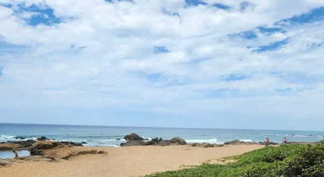 Номер Economy Aloe Self Catering