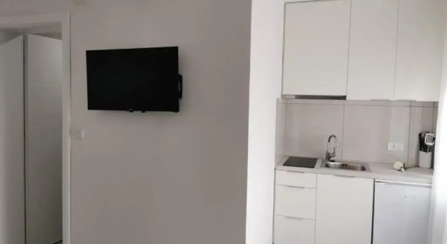 Апартаменты c 1 комнатой Apartment Ivo Kaurinovic