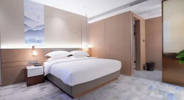 Люкс Business Qixing Lake Leisure Hotel